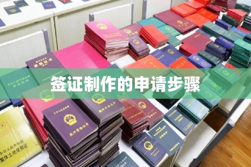 龙潭签证制作的申请步骤