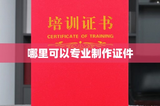 龙潭哪里可以专业制作证件