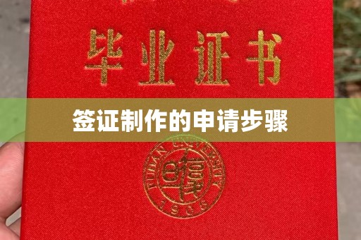 龙潭签证制作的申请步骤