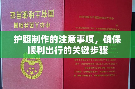 龙潭护照制作的注意事项，确保顺利出行的关键步骤