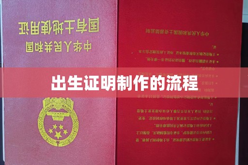 龙潭出生证明制作的流程