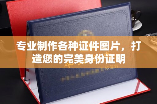 龙潭专业制作各种证件图片，打造您的完美身份证明